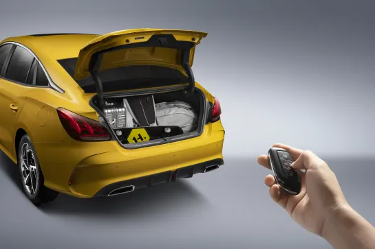 mggt_trunk_capacity_hand_